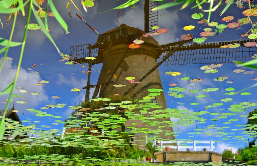 Water Reflection of One of the Kinderdijk Windmills