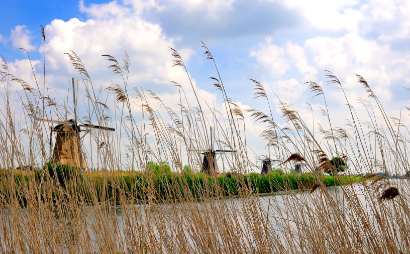 Mill Network at Kinderdijk- Elshout